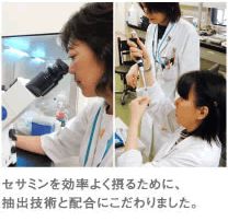 セサミンを効率よく摂るために、
抽出技術と配合にこだわりました。