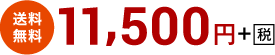 送料無料11,500円+税