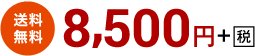 送料無料8,500円+税