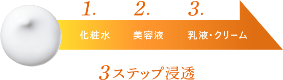 1.2.3.　3ステップ浸透