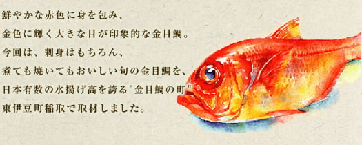鮮やかな赤色に身を包み、金色に輝く大きな目が印象的な金目鯛。今回は、刺身はもちろん、煮ても焼いてもおいしい旬の金目鯛を、日本有数の水揚げ高を誇る"金目鯛の町"東伊豆町稲取で取材しました。