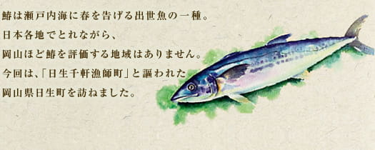 鰆は瀬戸内海に春を告げる出世魚の一種。日本各地でとれながら、岡山ほど鰆を評価する地域はありません。今回は、「日生千軒漁師町」と謳われた岡山県日生町を訪ねました。