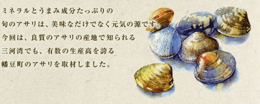 ミネラルとうまみ成分たっぷりの旬のアサリは、美味なだけでなく元気の源です。今回は、良質のアサリの産地で知られる三河湾でも、有数の生産高を誇る幡豆町のアサリを取材しました。