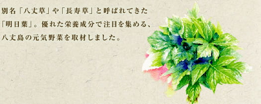 別名「八丈草」や「長寿草」と呼ばれてきた「明日葉」。優れた栄養成分で注目を集める、八丈島の元気野菜を取材しました。