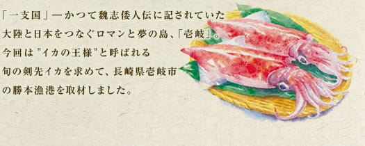 「一支国」―かつて魏志倭人伝に記されていた大陸と日本をつなぐロマンと夢の島、「壱岐」。今回は"イカの王様"と呼ばれる旬の剣先イカを求めて、長崎県壱岐市の勝本漁港を取材しました。