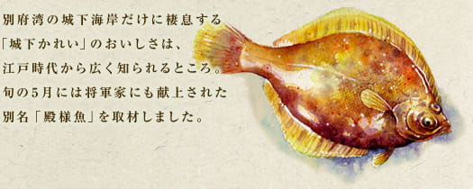別府湾の城下海岸だけに棲息する「城下かれい」のおいしさは、江戸時代から広く知られるところ。旬の5月には将軍家にも献上された別名「殿様魚」を取材しました。