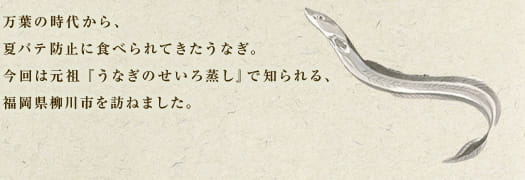 万葉の時代から、夏バテ防止に食べられてきたうなぎ。今回は元祖『うなぎのせいろ蒸し』で知られる福岡県柳川市を訪ねました。