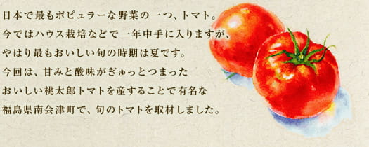 日本で最もポピュラーな野菜の一つ、トマト。今ではハウス栽培などで一年中手に入りますが、やはり最もおいしい旬の時期は夏です。今回は、甘みと酸味がぎゅっとつまったおいしい桃太郎トマトを産することで有名な福島県南会津町で、旬のトマトを取材しました。