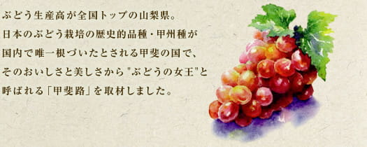 ぶどう生産高が全国トップの山梨県。日本のぶどう栽培の歴史的品種・甲州種が国内で唯一根づいたとされる甲斐の国で、そのおいしさと美しさから"ぶどうの女王"と呼ばれる「甲斐路」を取材しました。