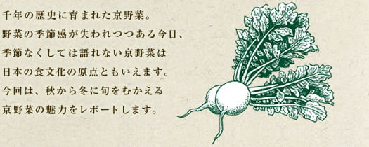 千年の歴史に育まれた京野菜。野菜の季節感が失われつつある今日、季節なくしては語れない京野菜は日本の食文化の原点ともいえます。今回は、秋から冬に旬をむかえる京野菜の魅力をレポートします。