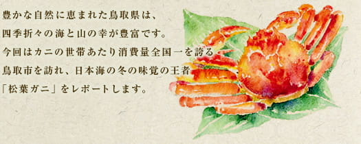  豊かな自然に恵まれた鳥取県は、四季折々の海と山の幸が豊富です。今回はカニの世帯あたり消費量全国一を誇る鳥取市を訪れ、日本海の冬の味覚の王者「松葉ガニ」をレポートします。