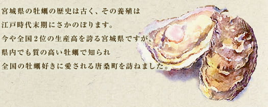 宮城県の牡蠣の歴史は古く、その養殖は江戸時代末期にさかのぼります。今や全国2位の生産高を誇る宮城県ですが、県内でも質の高い牡蠣で知られ全国の牡蠣好きに愛される唐桑町を訪ねました。