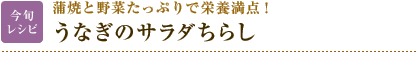 今旬レシピ：蒲焼と野菜たっぷりで栄養満点！　うなぎのサラダちらし