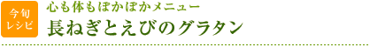 今旬レシピ：心も体もぽかぽかメニュー　長ねぎとえびのグラタン