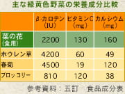 主な緑黄色野菜の栄養成分比較
参考資料：五訂　食品成分表