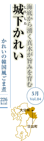 5月Vol.04：海底から湧く真水が旨みを育む　城下かれい
かれいの韓国風ごま煮：226kcal