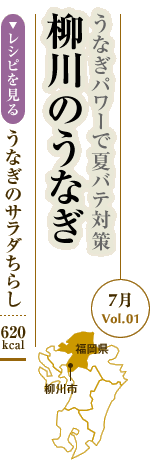 7月Vol.01：うなぎパワーで夏バテ対策　川のうなぎ
うなぎのサラダちらし：620kcal