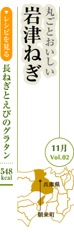 11月Vol.02：丸ごとおいしい　岩津ねぎ
長ねぎとえびのグラタン：548kcal