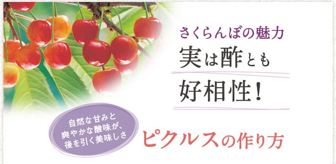さくらんぼの魅力 実は酢とも好相性! 自然な甘みと爽やかな酸味が、後を引く美味しさ ピクルスの作り方