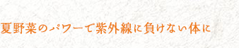 夏野菜のパワーで紫外線に負けない体に