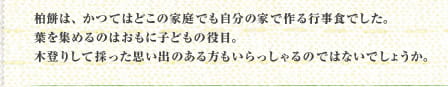 柏餅は、かつてはどこの家庭でも自分の家で作る行事食でした。葉を集めるのはおもに子どもの役目。木登りして採った思い出のある方もいらっしゃるのではないでしょうか。