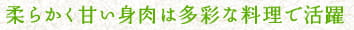 柔らかく甘い身肉は多彩な料理で活躍