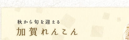 秋から旬を迎える　加賀れんこん