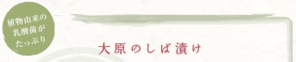 植物由来の乳酸菌がたっぷり　大原のしば漬け