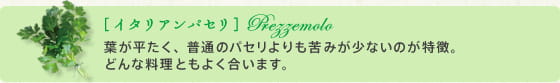 イタリアンパセリ 葉が平たく、普通のパセリよりも苦みが少ないのが特徴。
どんな料理ともよく合います。