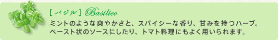 バジル ミントのような爽やかさと、スパイシーな香り、甘みを持つハーブ。
ペースト状のソースにしたり、トマト料理にもよく用いられます。