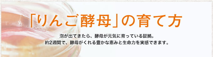 「りんご酵母」の育て方 泡が出てきたら、酵母が元気に育っている証拠。約2週間で、酵母がくれる豊かな恵みと生命力を実感できます。