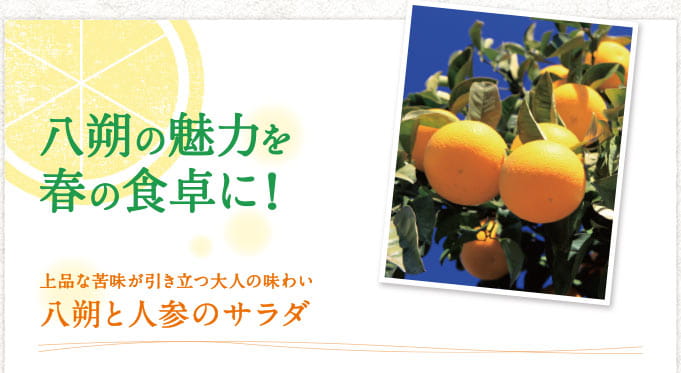 八朔の魅力を春の食卓に！ 上品な苦みが引き立つ大人の味わい 八朔と人参のサラダ