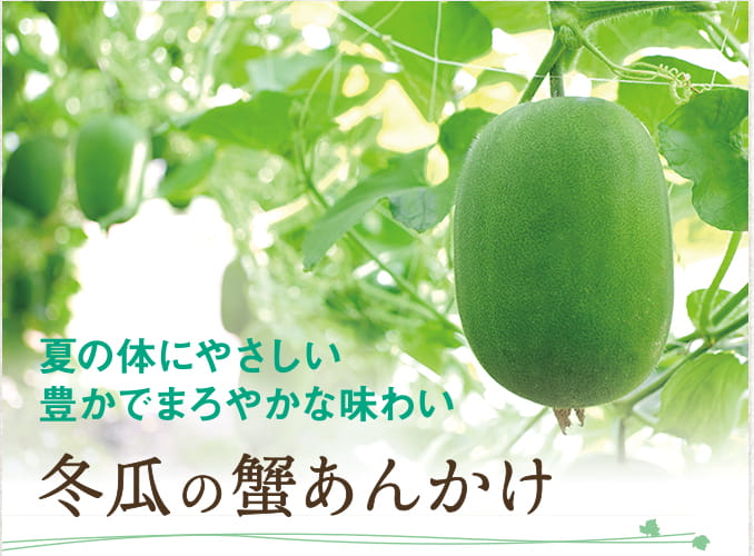 夏の体にやさしい 豊かでまろやかな味わい 冬瓜の蟹あんかけ