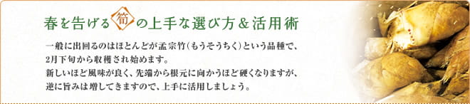 春を告げる“筍”の上手な選び方&活用術：一般に出回るのはほとんどが孟宗竹（もうそうちく）という品種で、2月下旬から収穫され始めます。新しいほど風味が良く、先端から根元に向かうほど硬くなりますが、逆に旨みは増してきますので、上手に活用しましょう。