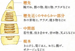 穂先：椀だね、酢の物、和え物、サラダなどに
穂先近くのやわらかい部分：木の芽和え、サラダ、焼き物などに
中間部：若竹煮、炊き合わせ、炒め物、天ぷらなどに
根本：きんぴら、筍ごはん、おろし揚げ、ポタージュなどに