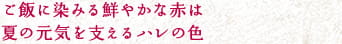 ご飯に染みる鮮やかな赤は夏の元気を支えるハレの色