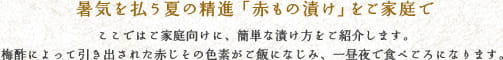 暑気を払う夏の精進「赤もの漬け」をご家庭で　ここではご家庭向けに、簡単な漬け方をご紹介します。梅酢によって引き出された赤じその色素がご飯になじみ、一昼夜で食べごろになります。