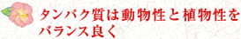 タンパク質は動物性と植物性をバランス良く