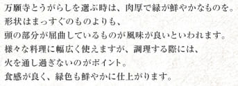 万願寺とうがらしを選ぶ時は、肉厚で緑が鮮やかなものを。形状はまっすぐのものよりも、頭の部分が屈曲しているものが風味が良いといわれます。様々な料理に幅広く使えますが、調理する際には、火を通し過ぎないのがポイント。食感が良く、緑色も鮮やかに仕上がります。