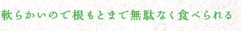 軟らかいので根もとまで無駄なく食べられる