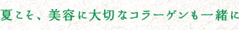 夏こそ、美容に大切なコラーゲンも一緒に