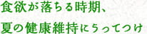 食欲が落ちる時期、夏の健康維持にうってつけ