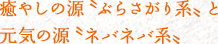 癒やしの源〝ぶらさがり系〟と元気の源〝ネバネバ系〟