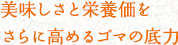 美味しさと栄養価をさらに高めるゴマの底力