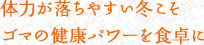 体力が落ちやすい冬こそゴマの健康パワーを食卓に