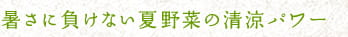暑さに負けない夏野菜の清涼パワー