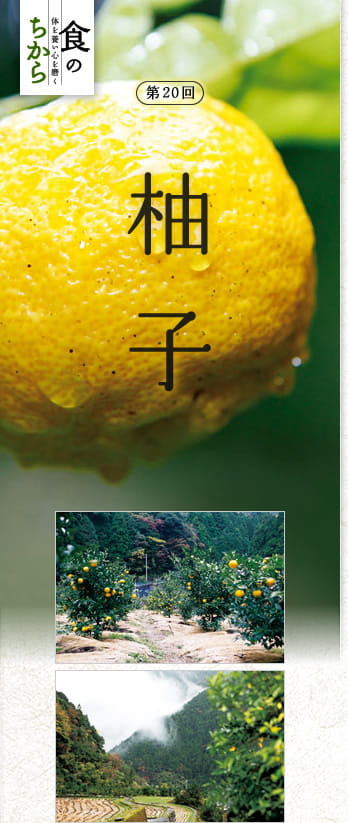 食のちから　体を養い心を磨く　第20回：柚子