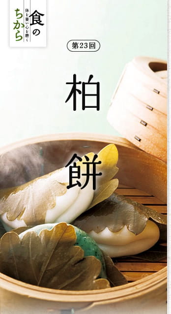 食のちから　体を養い心を磨く　第23回：柏餅