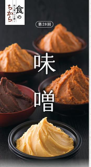 食のちから　体を養い心を磨く　第28回：味噌
