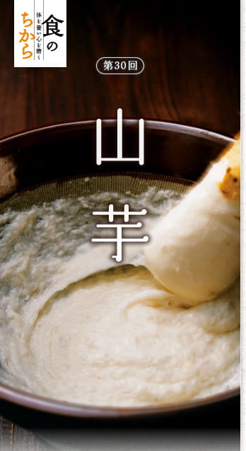 食のちから　体を養い心を磨く　第30回：山芋